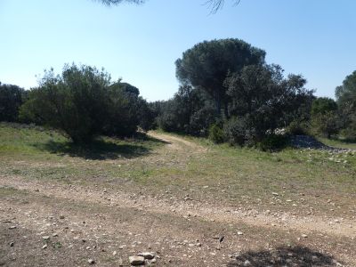 Croisement Capitelle Seule 2