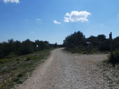 Croisement pointillés Avaous 2