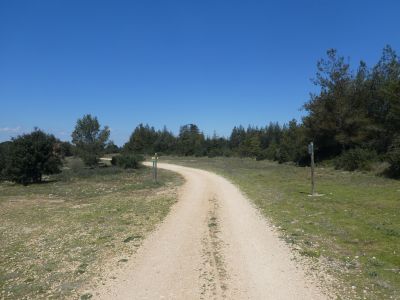 Cèdreraie Expérimentale