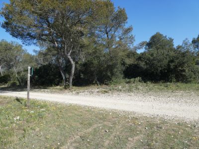 Croisement piste Peyre Fioc