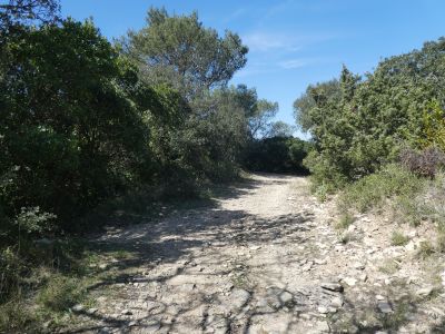 Croisement après Pic Méjean