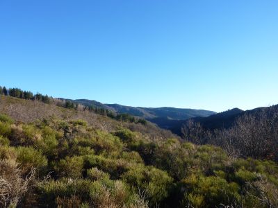 Vue Cévennes