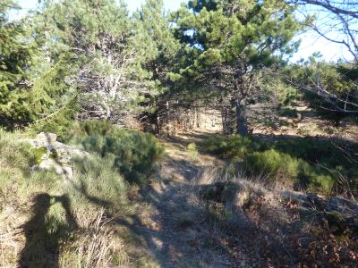 Croisement avant Saint-Guiral