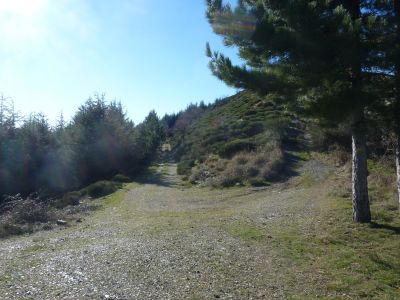 Croisement après Aigle