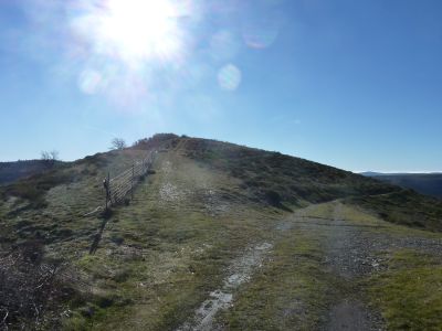 Croisement avant Mouche