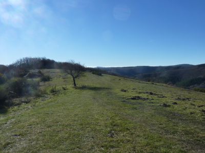 Croisement après Mouche