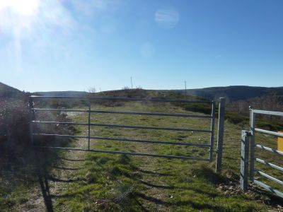 Croisement après Mouche 2