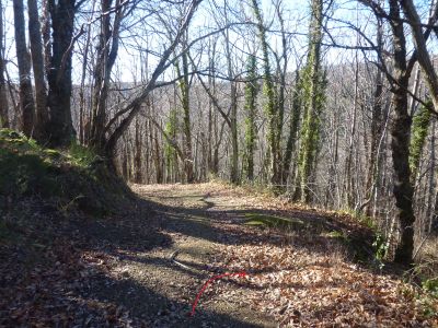 Croisement après Vierge