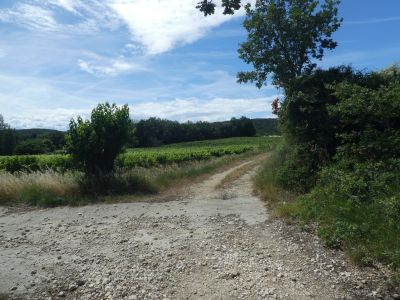 Croisement avant Bézut
