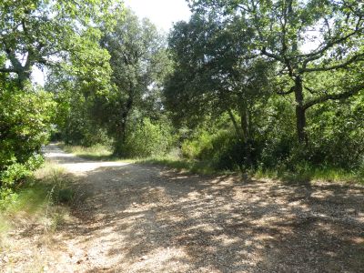 Croisement montée Arque