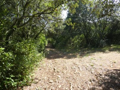 Croisement montée Arque 2