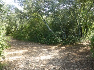 Croisement montée Arque 3