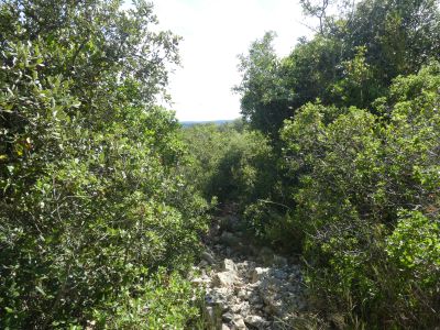 Vue chemin descente 3