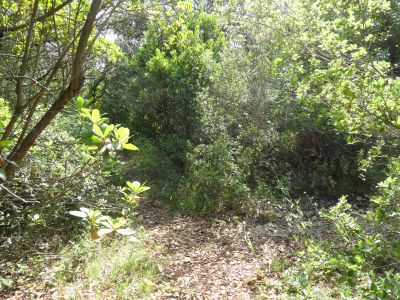 Croisement descente Arque