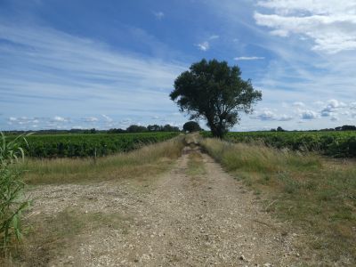 Croisement après D161