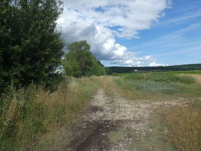 Croisement après D161 2