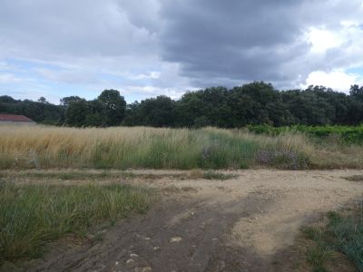 Croisement après Maisonnette