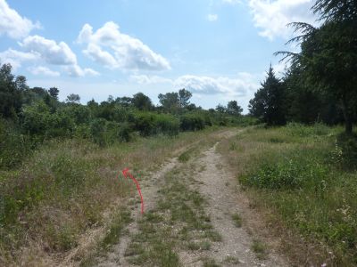 Croisement après Montagnette