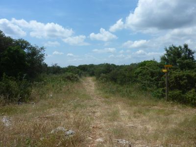 Chemin Saint-Quentin