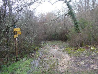 Grottes Rodes