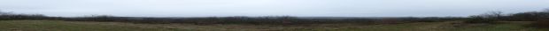 Pano