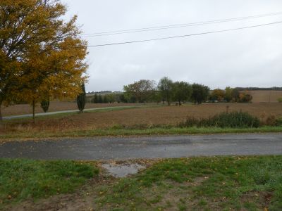 Croisement D18c Ensansus