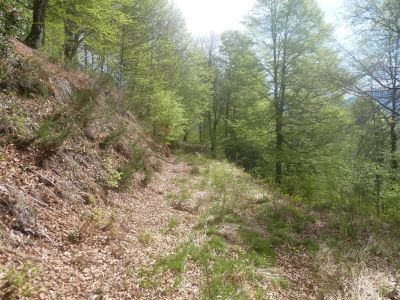 Croisement après Auarje