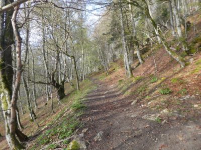 Croisement sentier Soulagnech