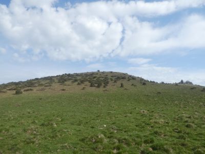 Vue montée Olives