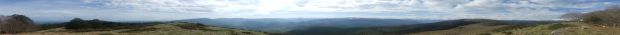 Pano Olives