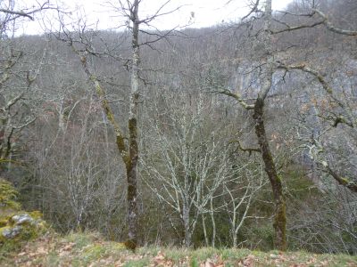 Vue Laspugues