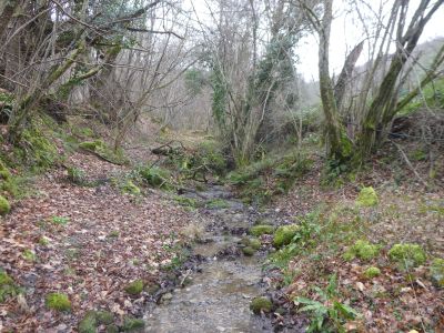 Vue Ruisseau Mont