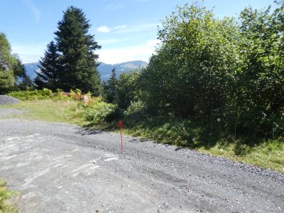 Croisement piste Couche