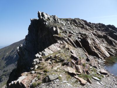 Croisement sommet / Nère