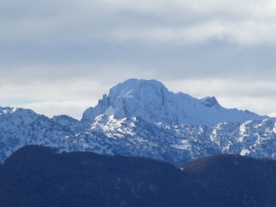 Vue Billare