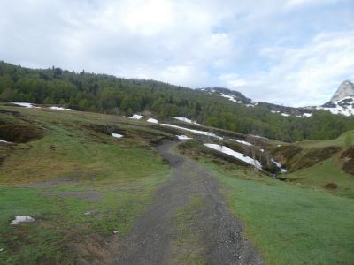 Croisement sentier Besse
