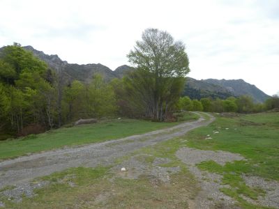 Croisement sentier Besse 2