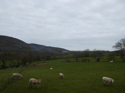 Vue Larise
