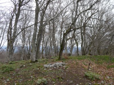 Arrivée Escalère