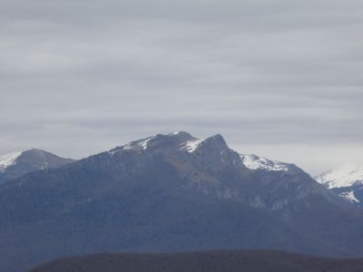 Vue Gar