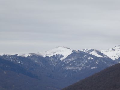Vue Lège