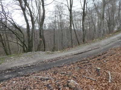 Croisement piste Doussieu