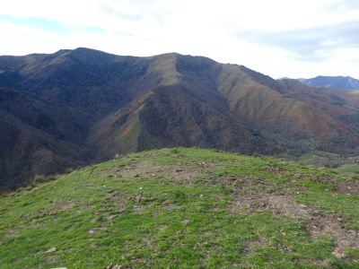 Croisement faux-col Martipeyras 2