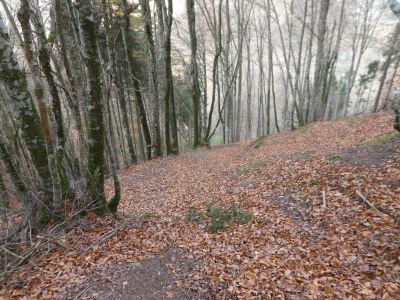 Vue descente Lacape