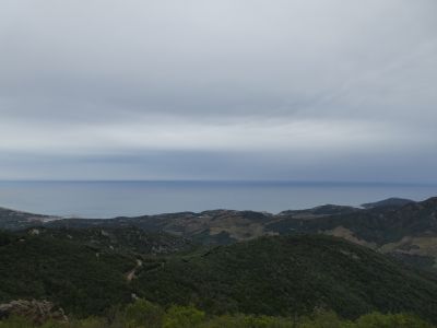 Vue baie Collioure
