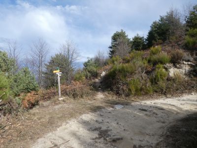 Croisement montée Provadona
