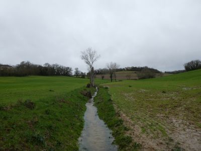 Vue Luzert