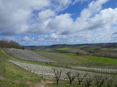 Vue Lauture 2