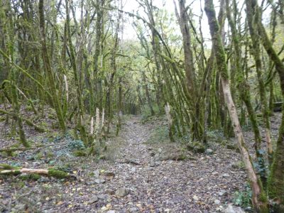 Croisement Grotte Gourgue