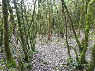 Croisement Grotte Gourgue 2